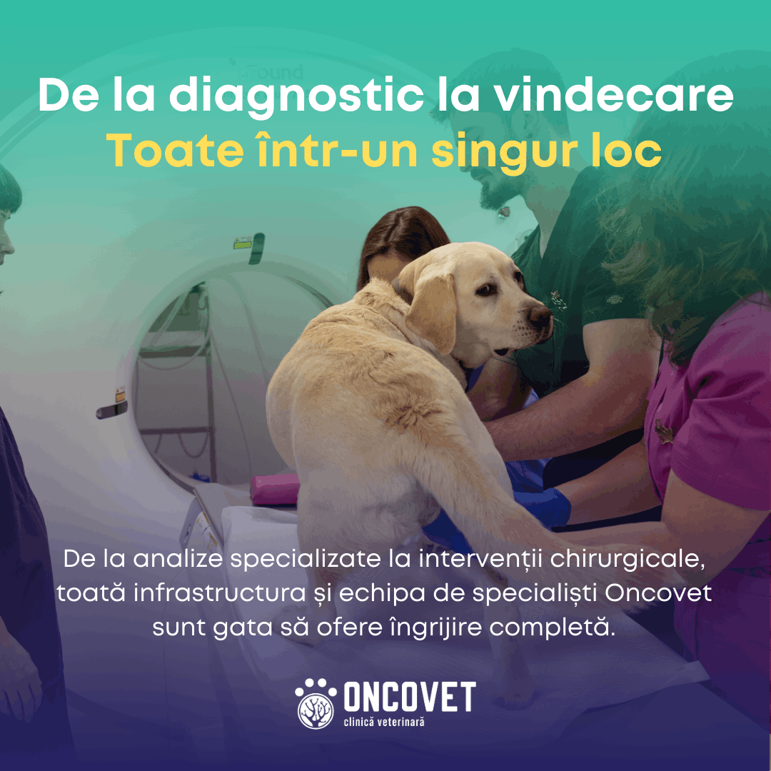 De la diagnostic la vindecare, un singur loc (1)