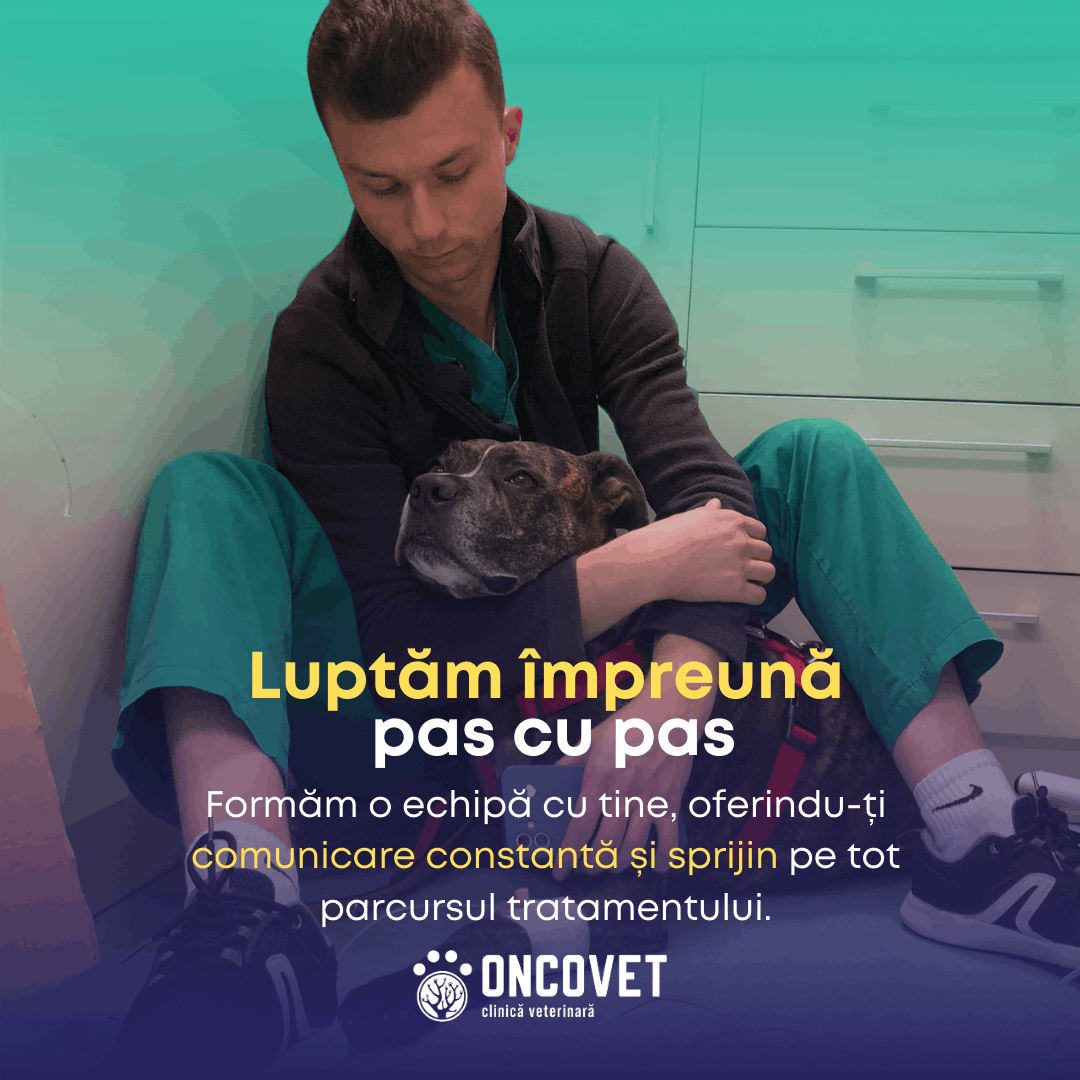 Luptam impreuna - pas cu pas - caine v1 (1)