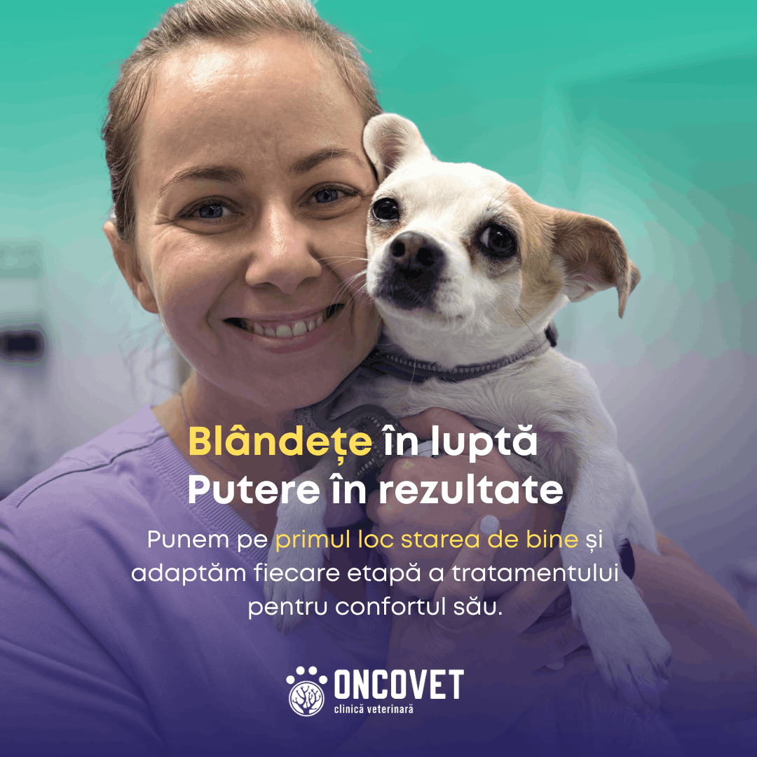 Protejam pofta de viata - caine v2 (1)