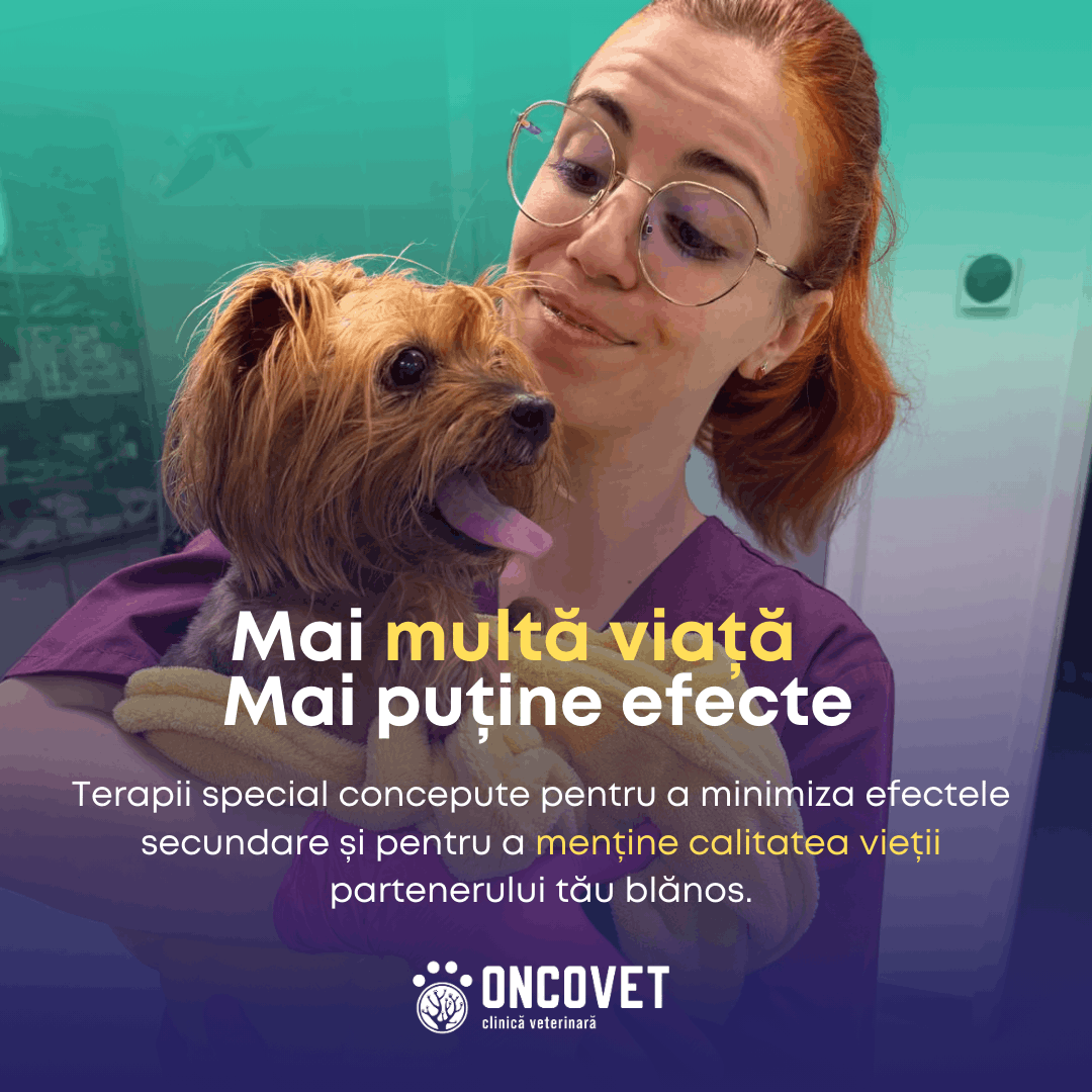 Protejam pofta de viata - caine v3 (1)